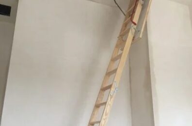 En uygun çatı merdiveni hangisi?